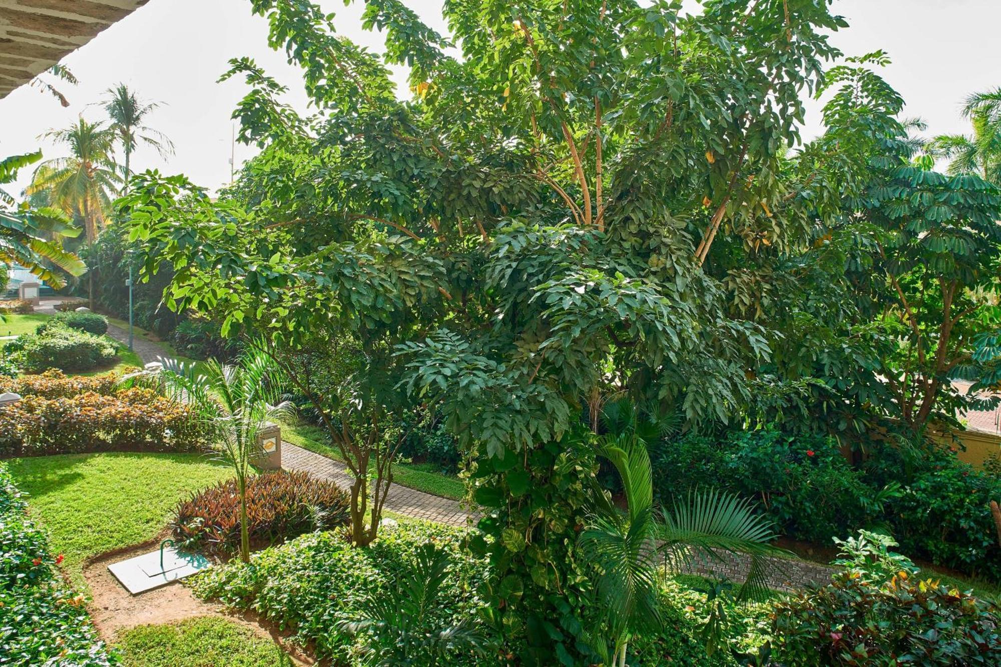 Marriott Puerto Vallarta Resort & Spa Экстерьер фото